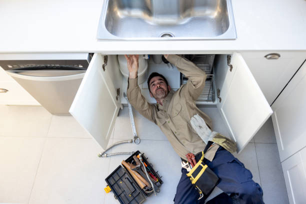 Best Clogged Drain Plumber  in Williamsburg, OH